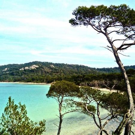 Ile De Porquerolles : T3 Climatise Vue Mer Eksteriør bilde