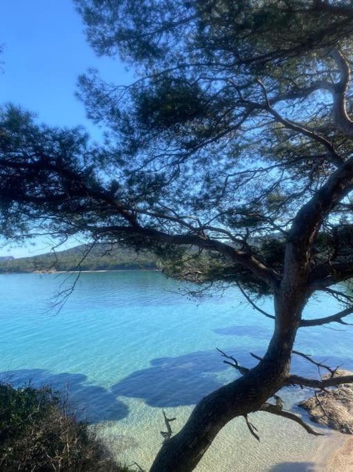 Ile De Porquerolles : T3 Climatise Vue Mer Eksteriør bilde