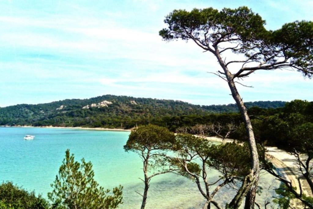 Ile De Porquerolles : T3 Climatise Vue Mer Eksteriør bilde